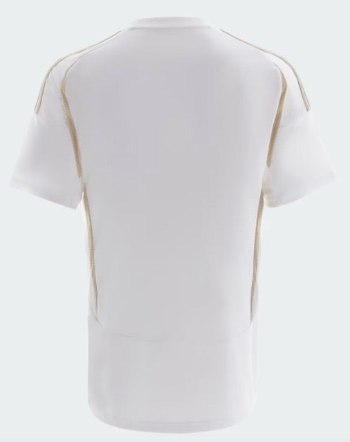 Al-Nassr 24-25 Tercera Equipación
