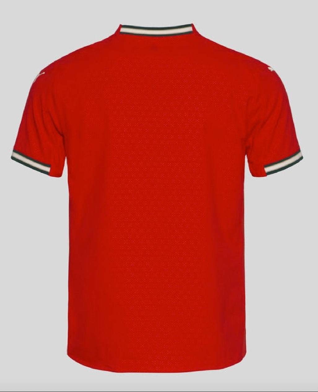 Maillot domicile du Portugal