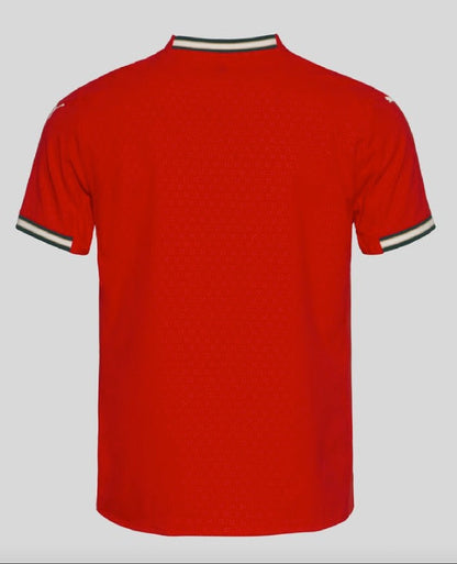 Maillot domicile du Portugal